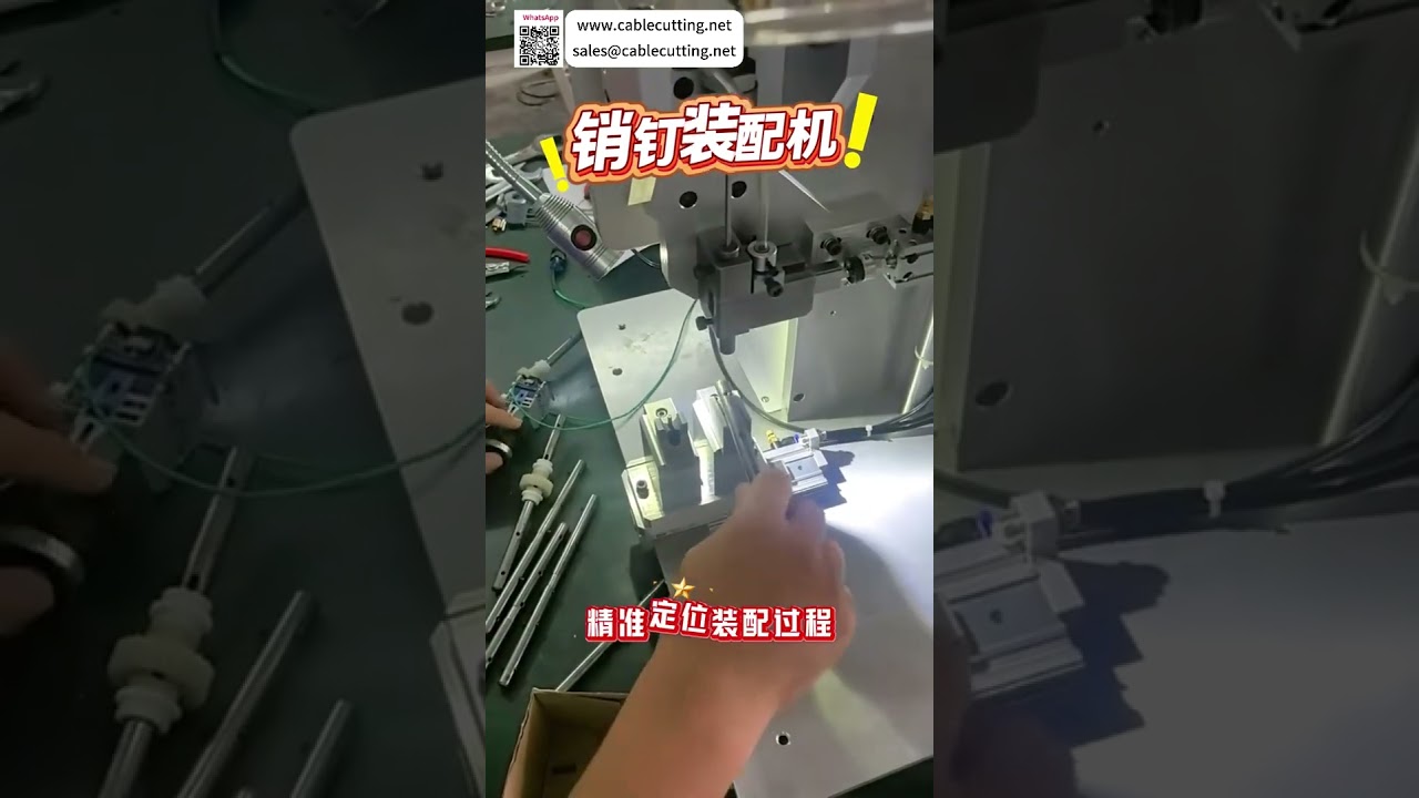Macchina Automatica per l'Assemblaggio di Perni - Versione Sintetica