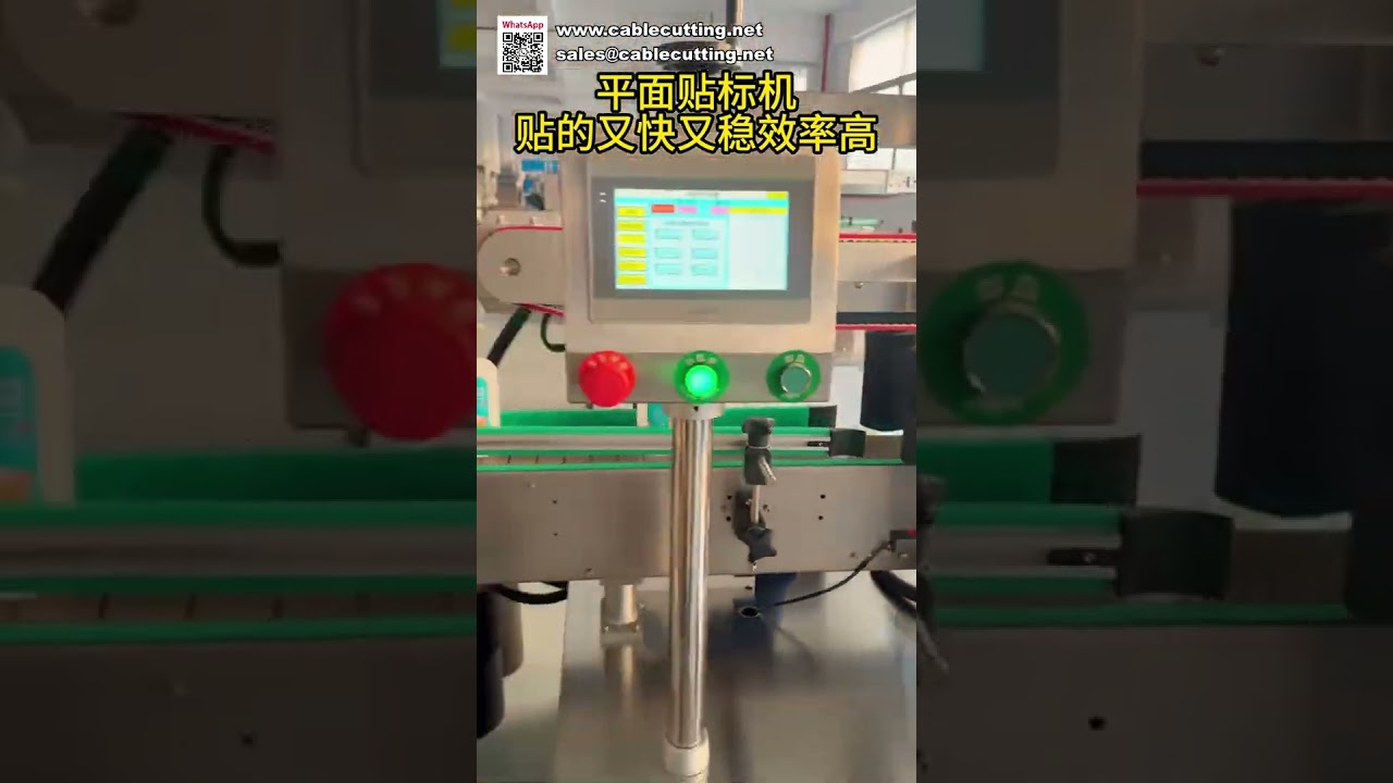 Etichettatrice Automatica per Superfici Piane: Alta Efficienza per Cartoni e Buste