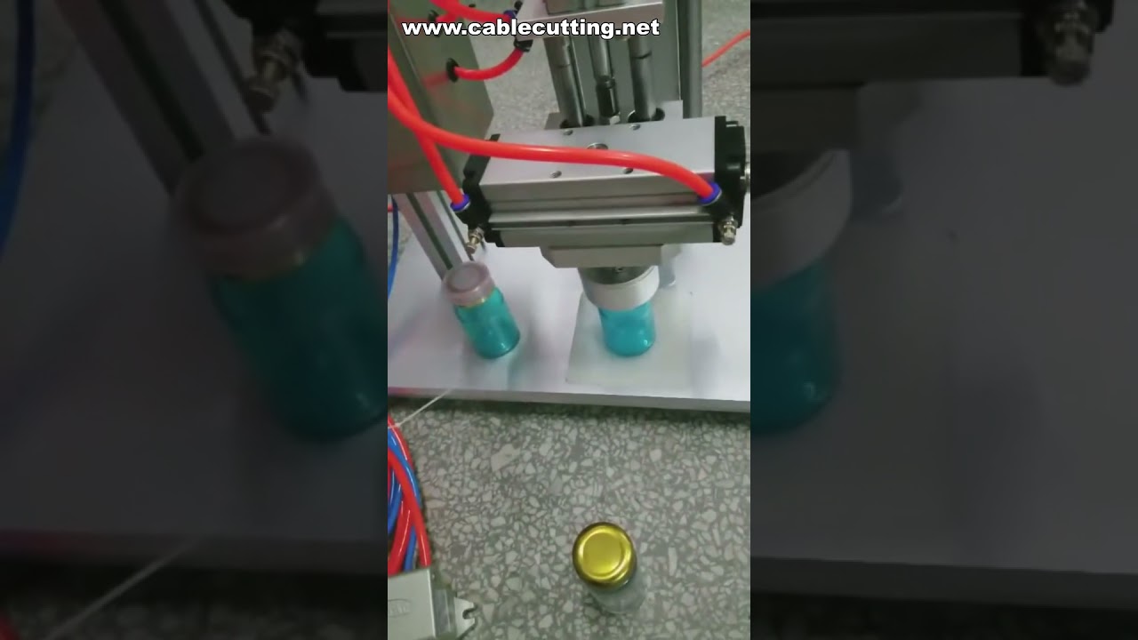 Macchina tappatrice pneumatica da banco per coperchi in banda stagnata e tappi in plastica