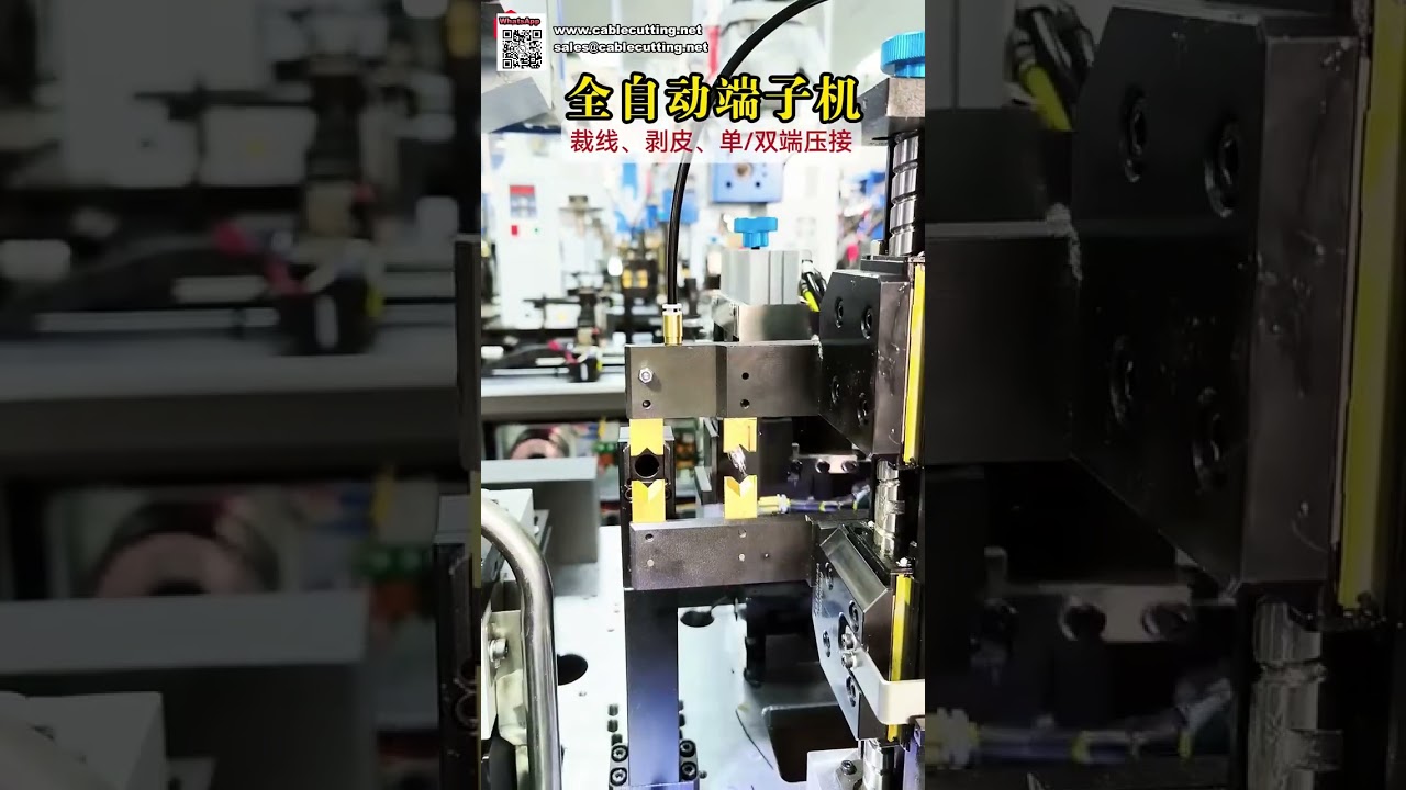 Produttore di macchine terminali completamente automatiche per crimpatura singola e doppia estremità