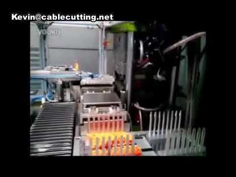 Macchina per stampaggio a iniezione verticale tipo C: precisione e affidabilità per la produzione industriale