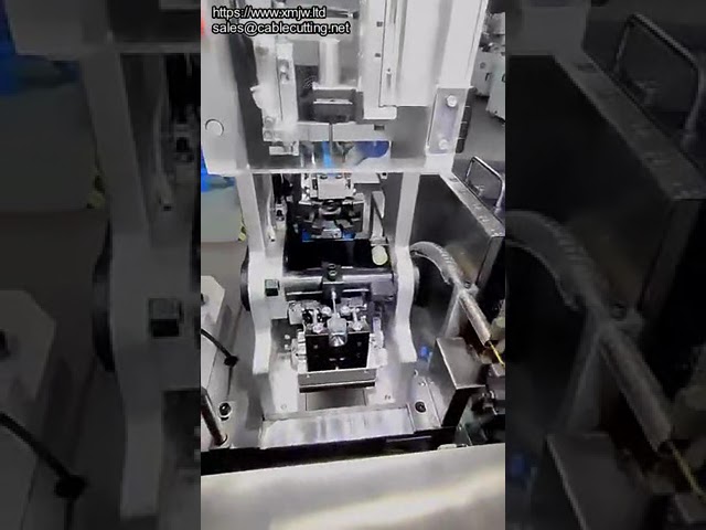 Macchina Crimpatrice Automatica per Terminali a Doppia Testa con Inserimento Spine Impermeabili