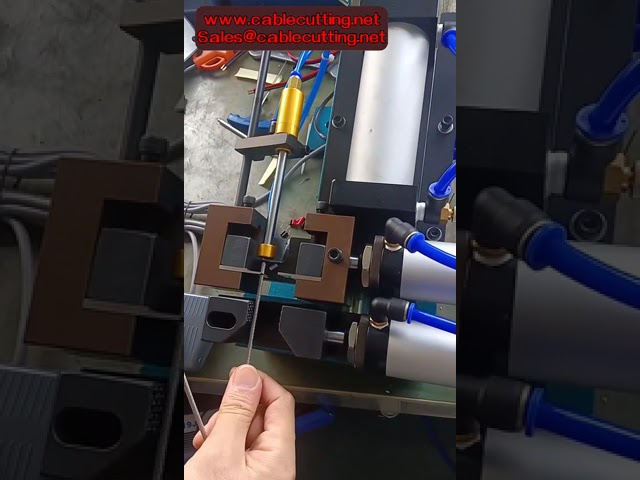 Set di 2 Lame per Spelafili Pneumatico 305 310 315 - Ricambio Professionale