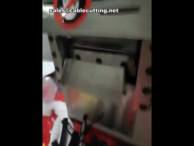 Macchina da Taglio Automatica per Etichette e Nastri Cerniera – Taglio di Precisione Industriale