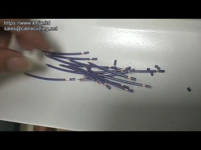 Macchina Automatica per Taglio e Spelatura di Due Cavi Elettrici da 4 mm²
