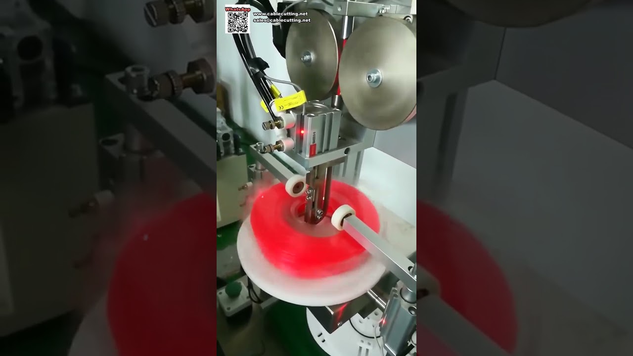 Linea di produzione per macchina confezionatrice blister automatica verticale - Bobine Pound