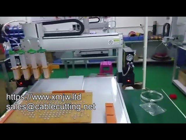 Macchina dosatrice colla 3/4 assi automatica intelligente personalizzata