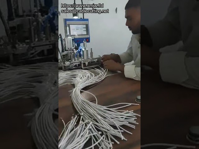 Macchina Automatica per Saldatura Connettori USB e Produzione Cavi Dati e Ricarica