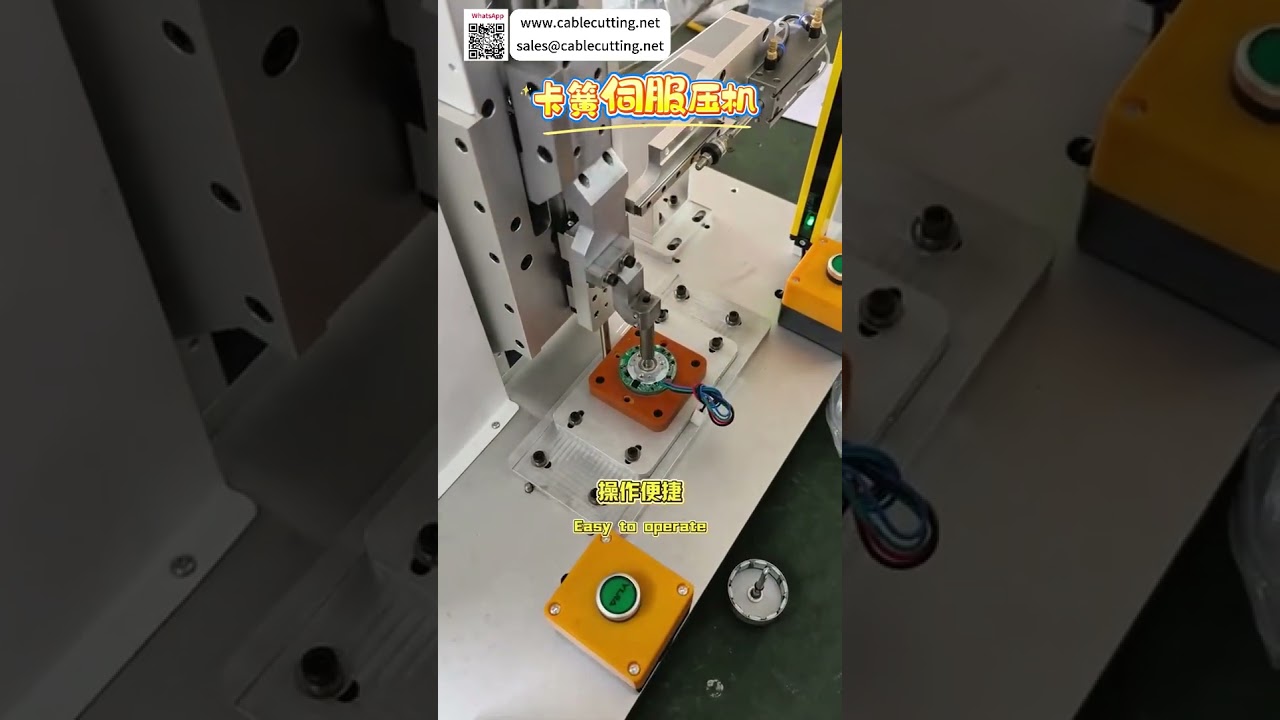 Sistema di Pressa Servo per Circlip ad Alta Precisione - Attrezzatura Personalizzata per Assemblaggio Automatizzato