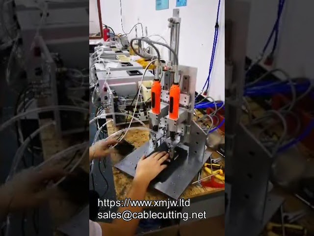 Avvitatore Automatico Asse Z con Alimentazione Automatica – Macchina Serraggio Viti OEM