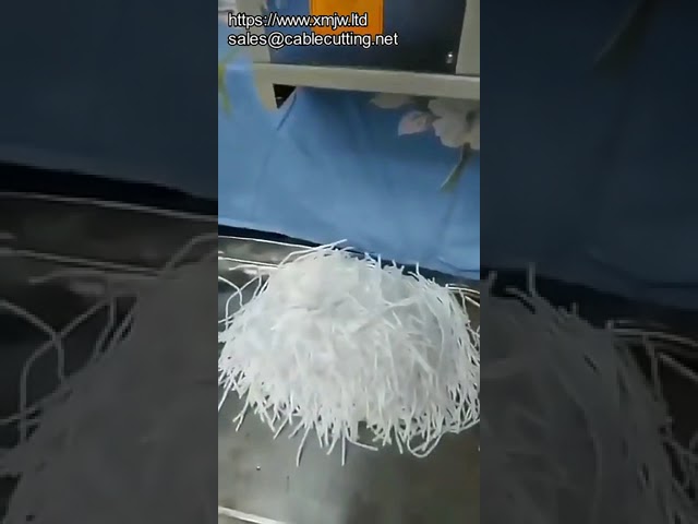 Macchina da taglio computerizzata per mascherine in PVC e tessuto non tessuto meltblown - Produttore