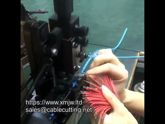 Vendita Fabbrica: Macchina Crimpatrice Terminali Semiautomatica 2t dalla Cina – Compatibile con Diversi Set di Matrici e Applicatori