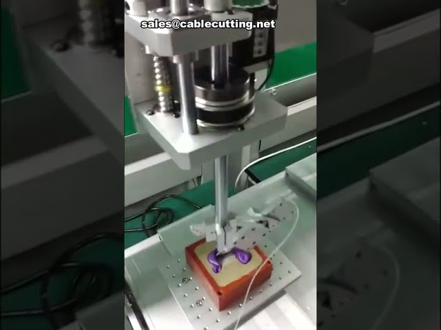Robot Erogatore di Colla con Asse R – Precisione e Automazione Industriale