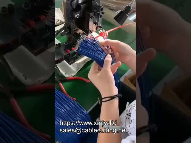 Campioni Gratuiti di Terminali Occhiello con Isolamento in Vinile Certificati UL - DJ431