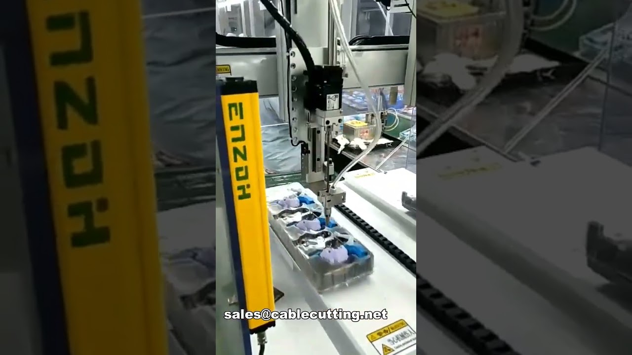 Macchina automatica per avvitare viti da banco per giocattoli ed elettronica - WPM-4220-2Z