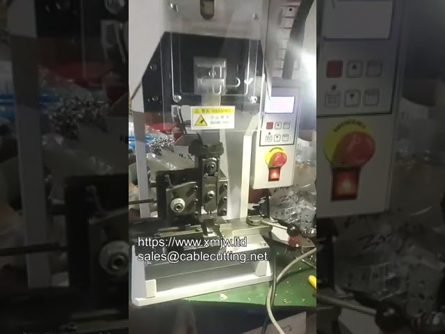 Terminale Intelligente Digitale 2t 3t 4t 8t con Schermo LCD - Automazione Industriale