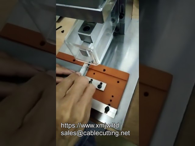 Macchina crimpatrice connettori IDC per assemblaggio cavi piatti | Alta efficienza