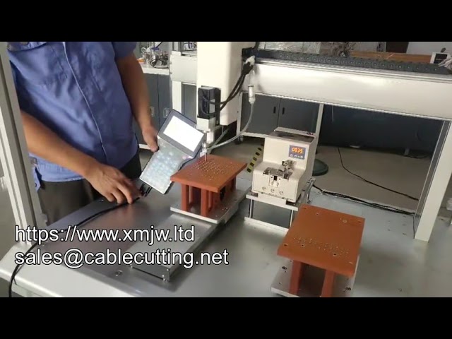 6331 Avvitatrice Intelligente a Servomotore di Grandi Dimensioni - Macchina Automatica a Pavimento