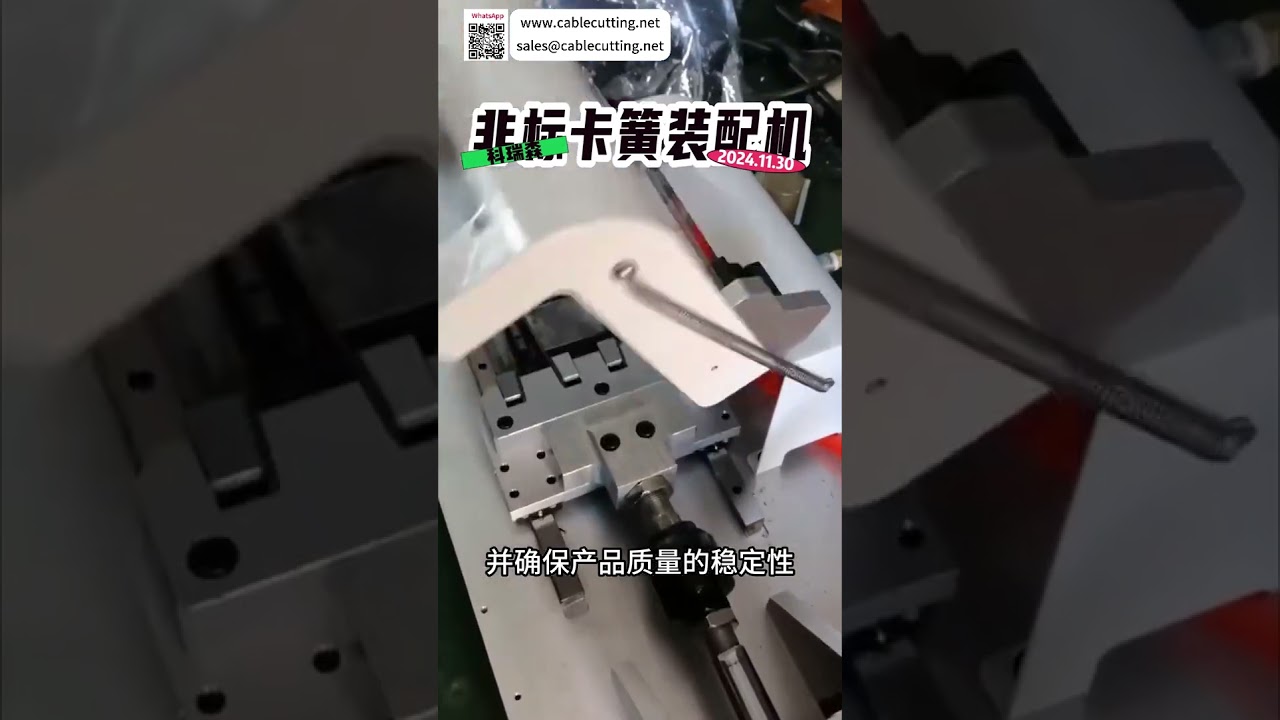 Macchina assemblaggio circlip personalizzata non standard - Sistema automatico di alta precisione