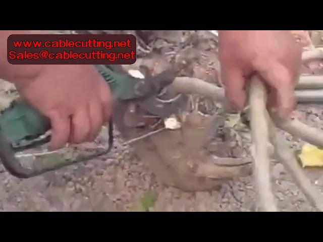Cesoie Pneumatiche per Potatura - Forbici da Albero e Bonsai con Impugnatura Antiscivolo