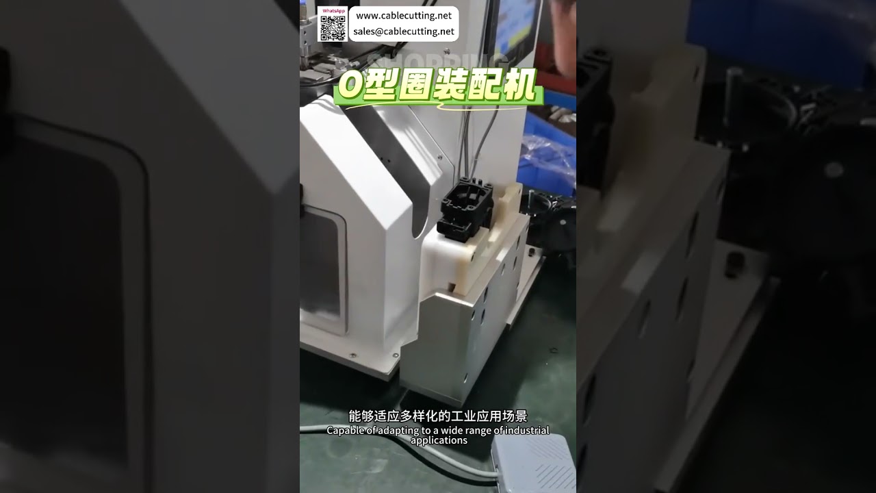 Apparecchiatura di Assemblaggio Automatica Innovativa: Sistema Industriale ad Alte Prestazioni